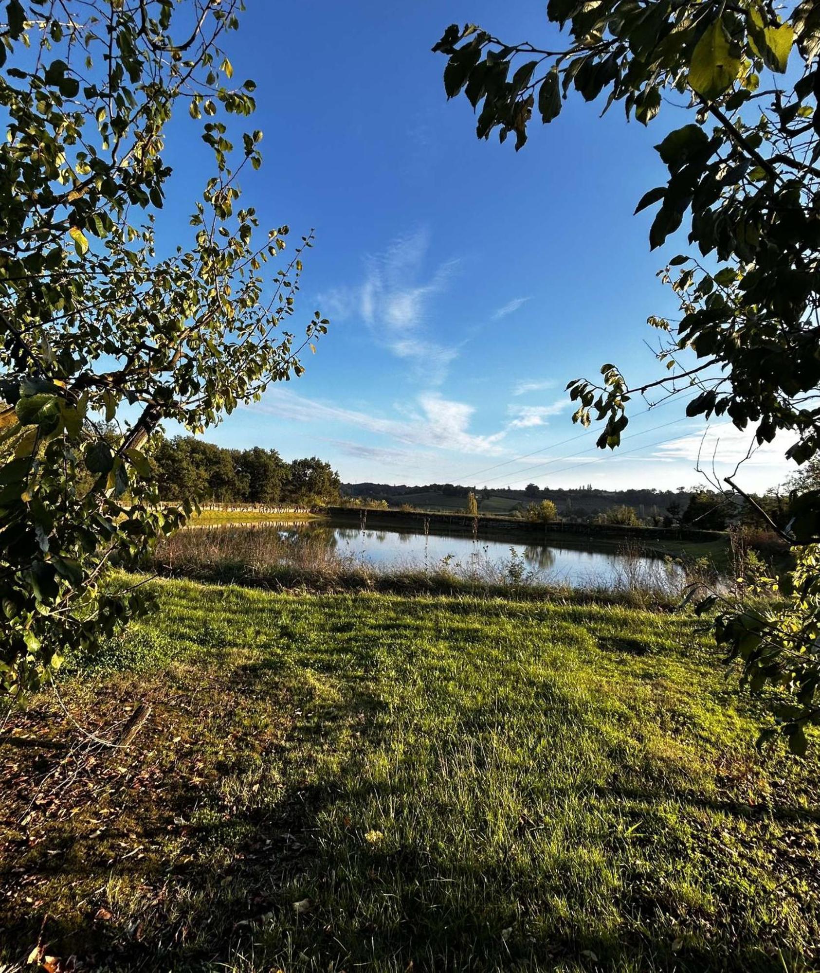 Gite La Garrigue Montbarla Eksteriør bilde